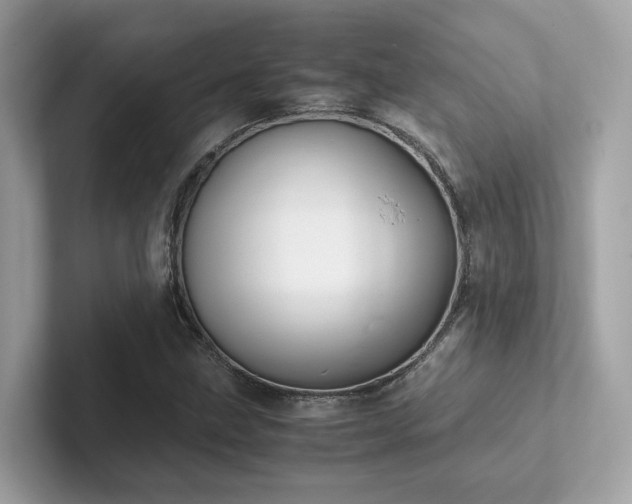 X0000102301211200807251428