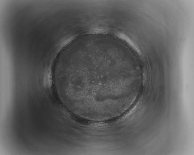 X0000102301213200807251428