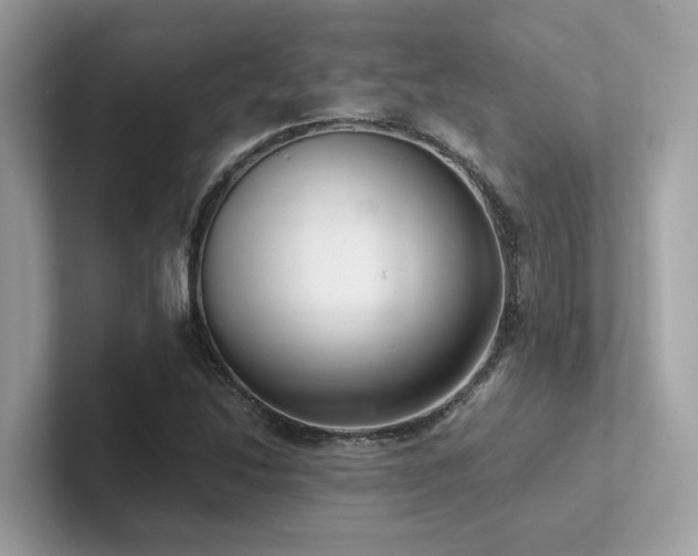 X0000102301214200807251428