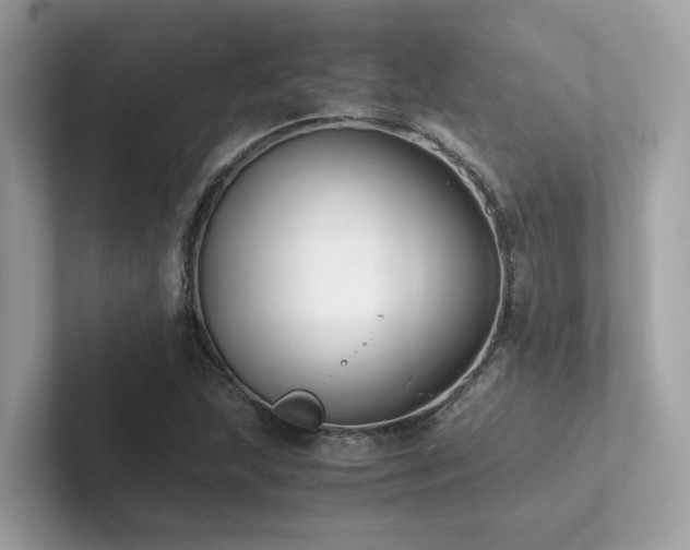 X0000102301215200807251428