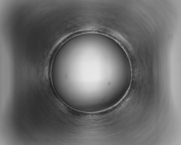 X0000102301216200807251428