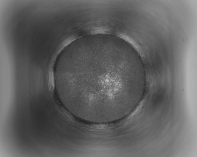X0000102301219200807251428