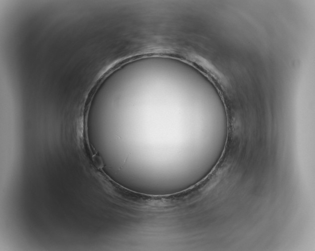 X0000102301220200807251428