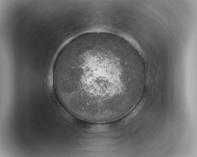 X0000102301224200807251428