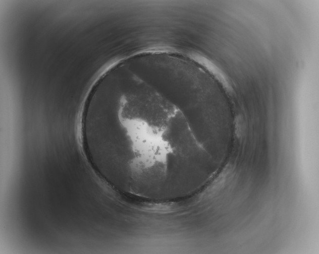 X0000102301229200807251428