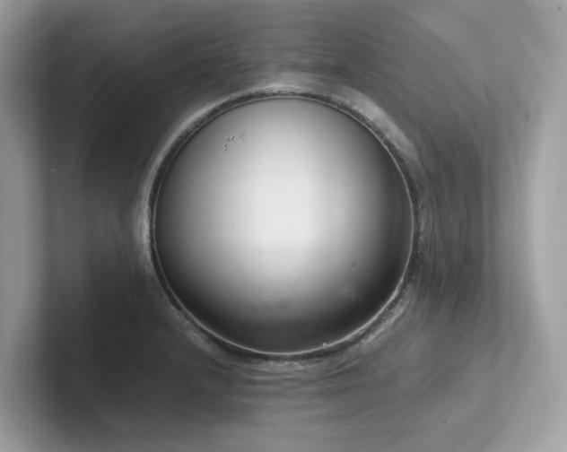 X0000102301232200807251428