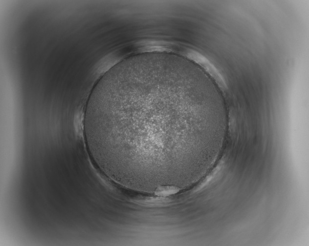 X0000102301233200807251428