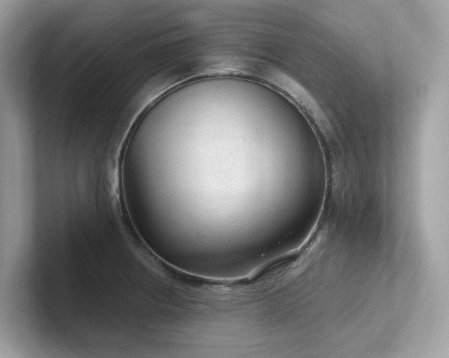 X0000102301234200807251428
