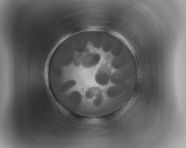 X0000102301235200807251428