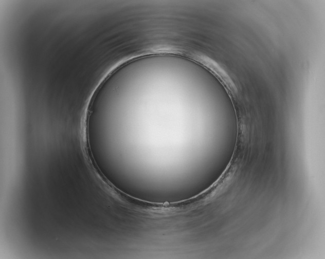 X0000102301236200807251428