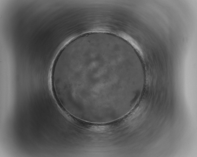 X0000102301237200807251428