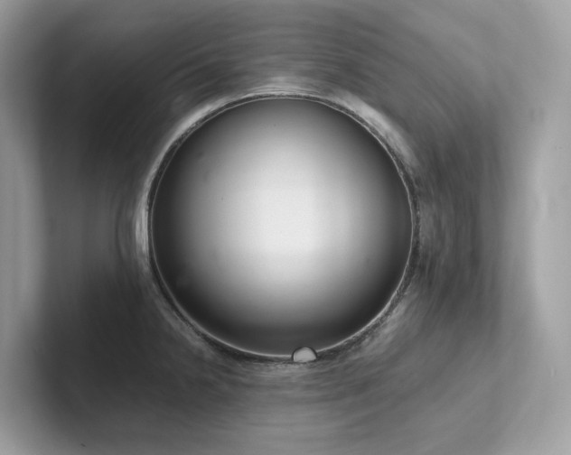 X0000102301238200807251428
