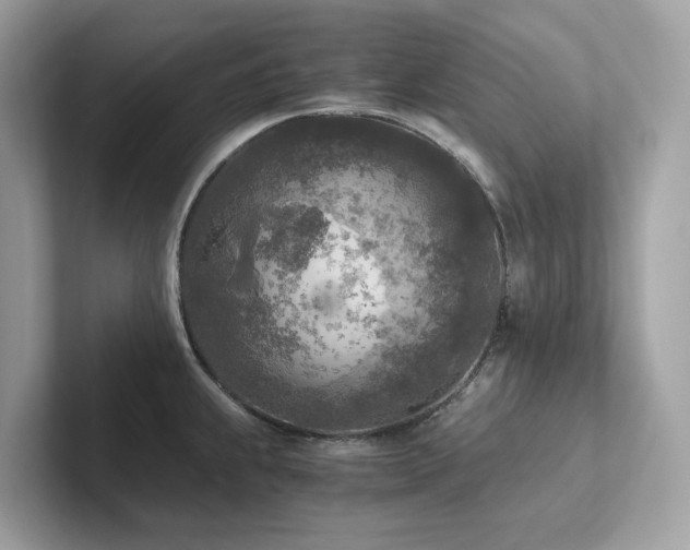 X0000102301239200807251428