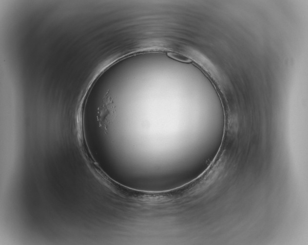 X0000102301242200807251428