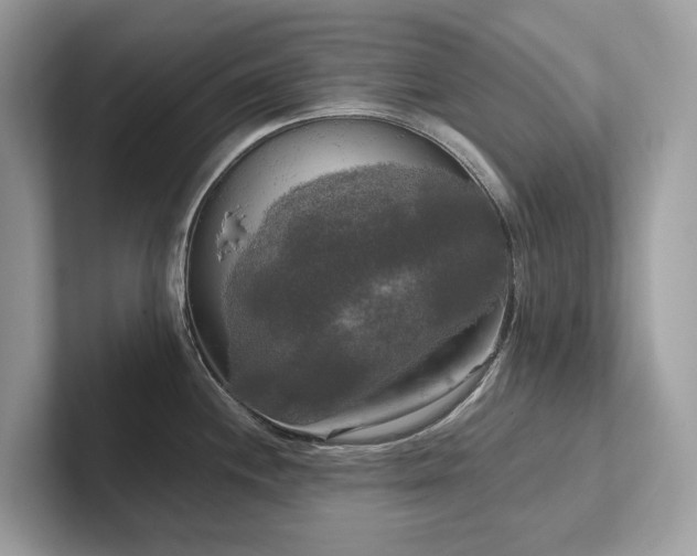 X0000102301244200807251429