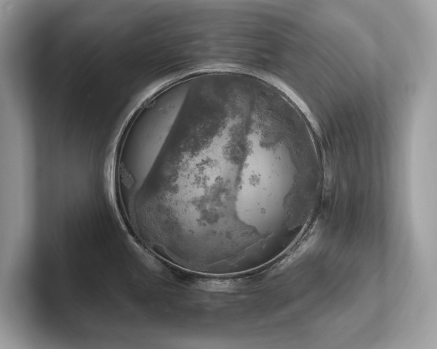 X0000102301245200807251429