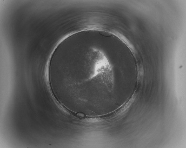 X0000102301246200807251429