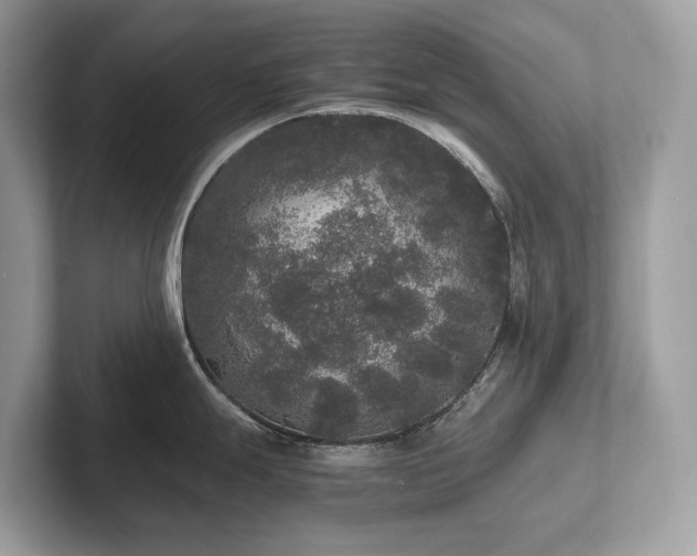 X0000102301247200807251429