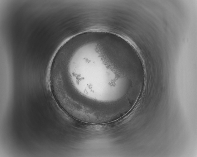 X0000102301248200807251429
