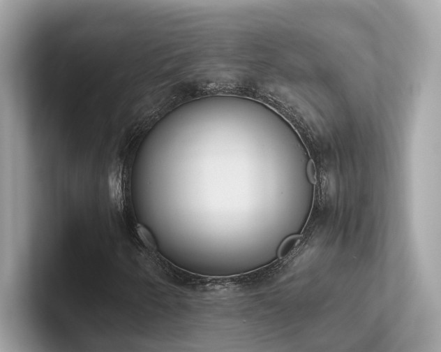 X0000102301250200807251428