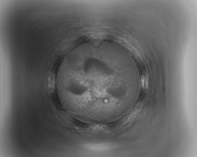 X0000102301251200807251428