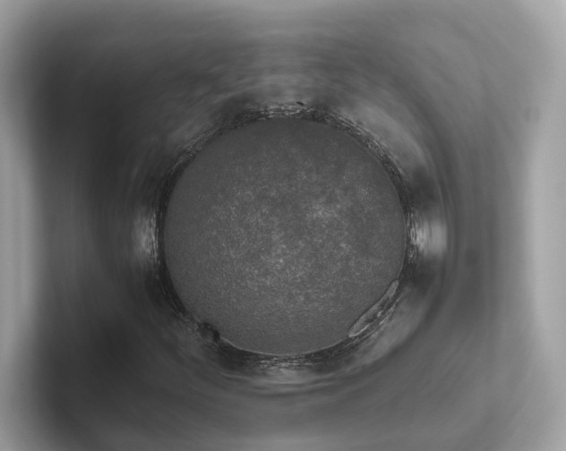 X0000102301252200807251428