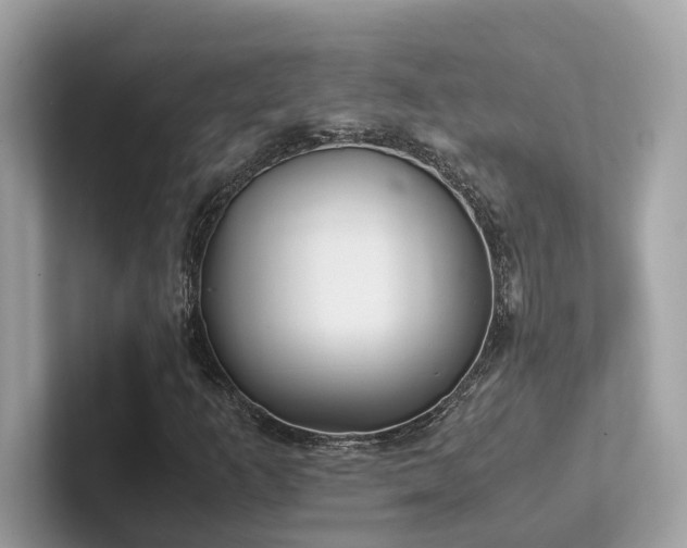 X0000102301253200807251428