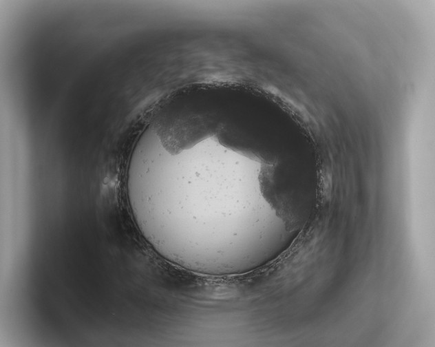 X0000102301254200807251428