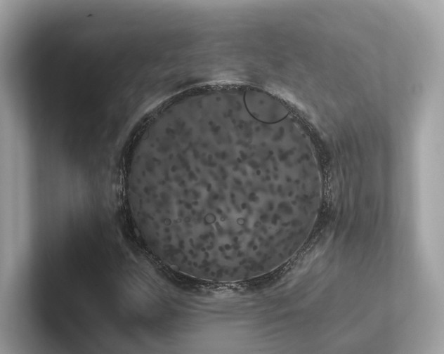 X0000102301255200807251428