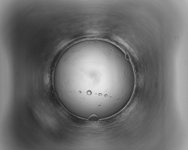 X0000102301259200807251428