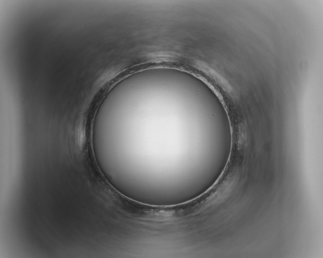 X0000102301261200807251428