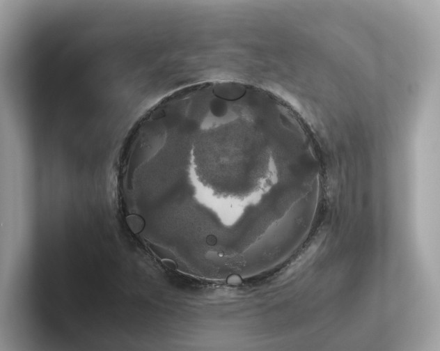 X0000102301263200807251428