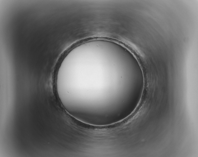 X0000102301264200807251428