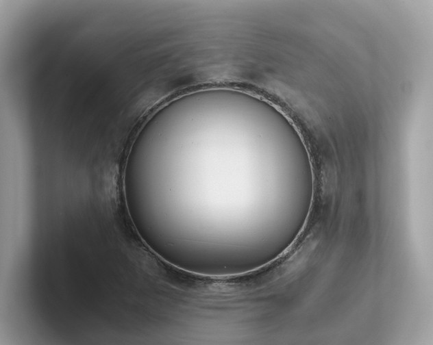 X0000102301265200807251428