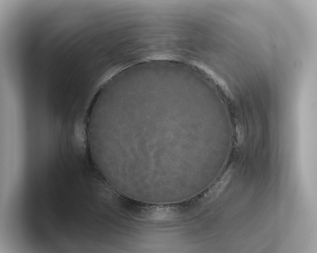 X0000102301266200807251428