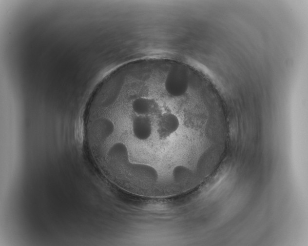 X0000102301267200807251428