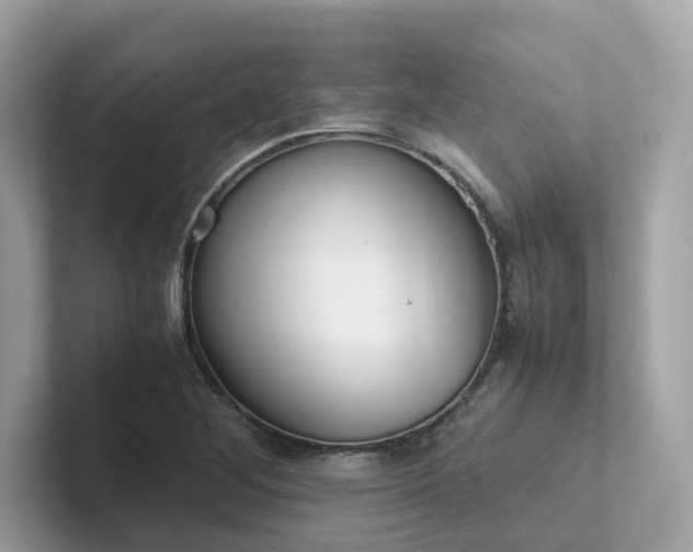 X0000102301268200807251428