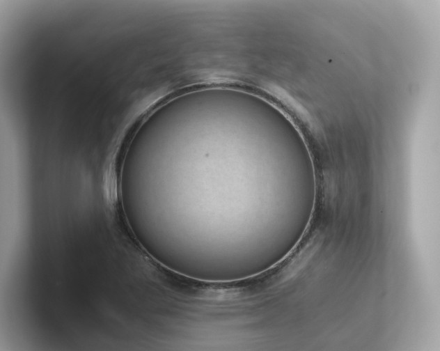 X0000102301269200807251428
