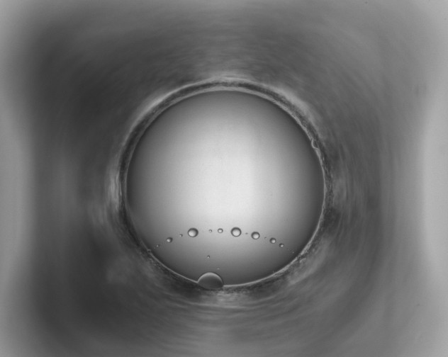 X0000102301271200807251428