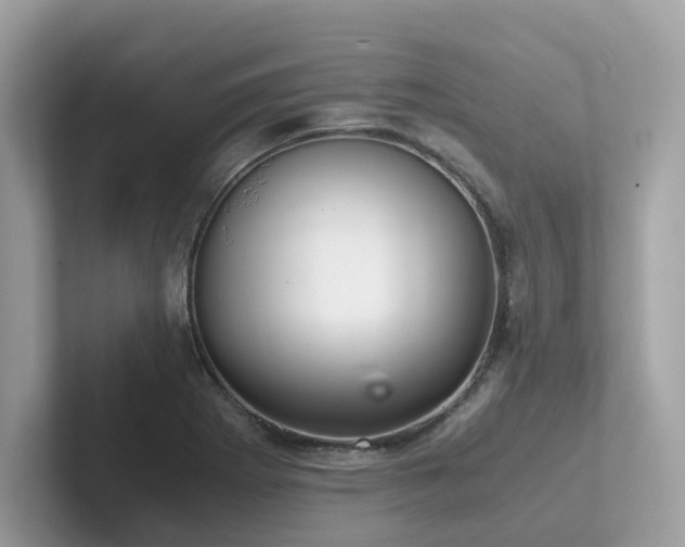 X0000102301273200807251428
