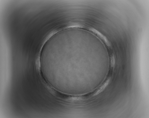 X0000102301274200807251428
