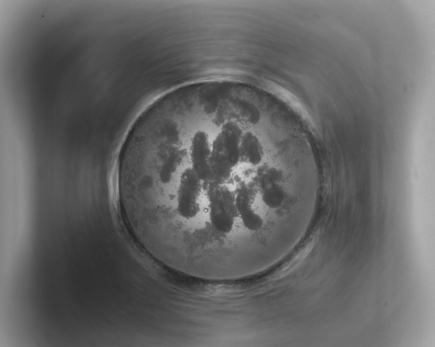 X0000102301275200807251428