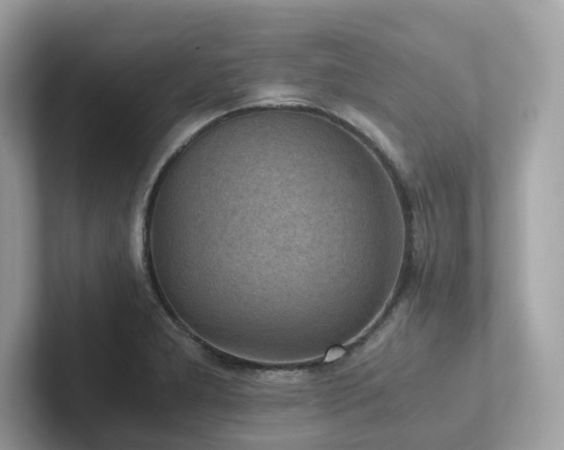 X0000102301277200807251428