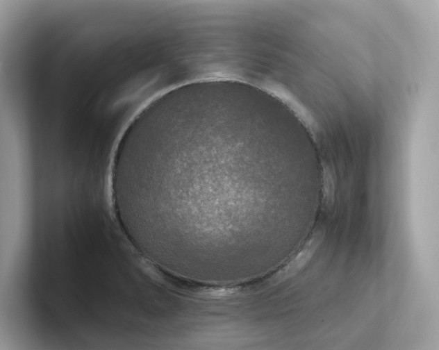 X0000102301278200807251428