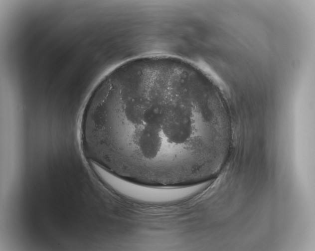 X0000102301279200807251428