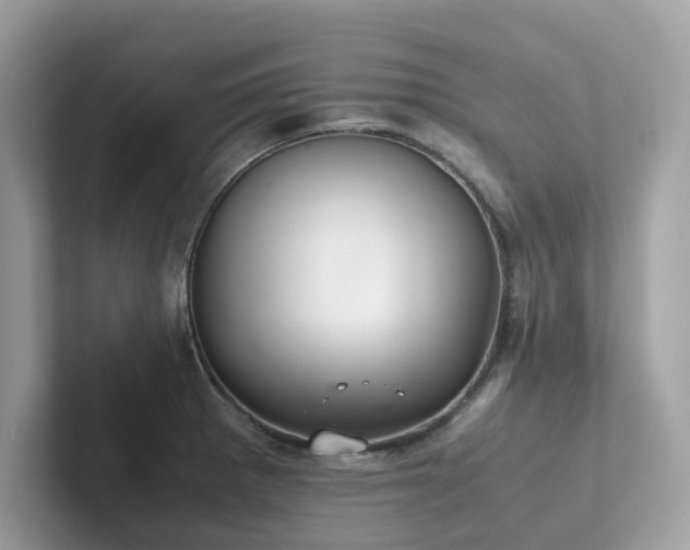 X0000102301281200807251428