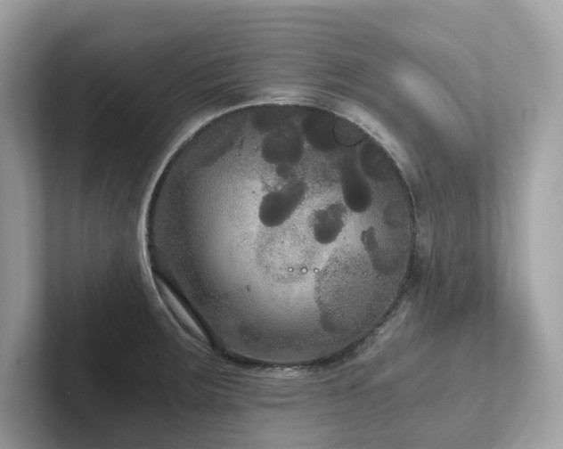 X0000102301283200807251428