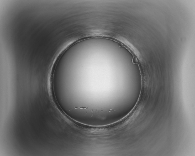 X0000102301285200807251427