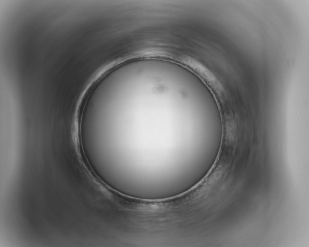 X0000102301286200807251427