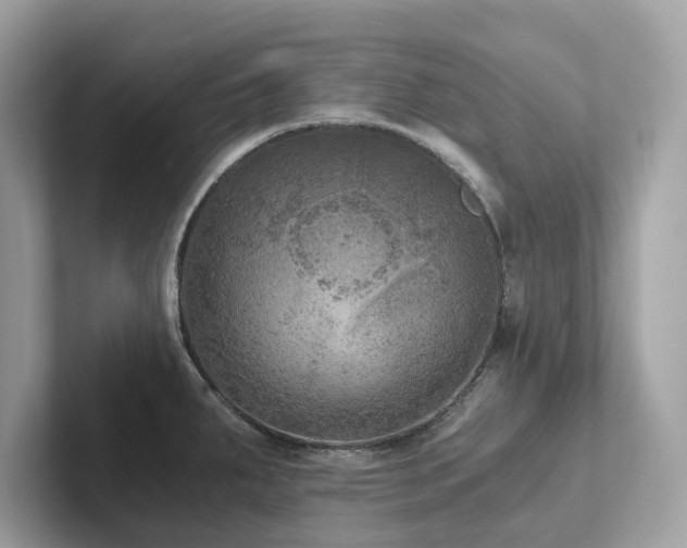 X0000102301287200807251427